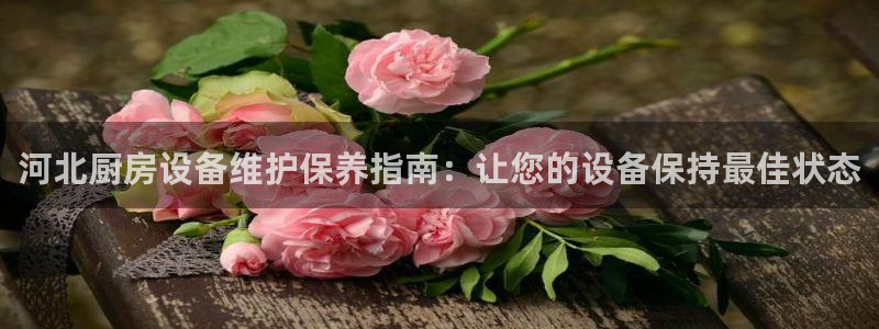 尊龙app认可ag发财网：河北厨房设备维护保养指南：让您的设