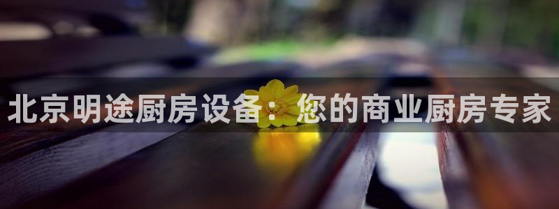 尊龙app注册官网