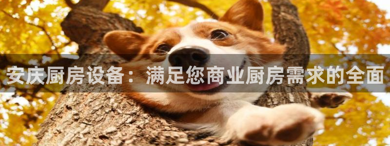 尊龙凯时网