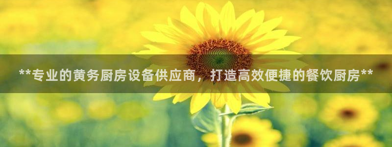 尊龙人生就是博旧版现