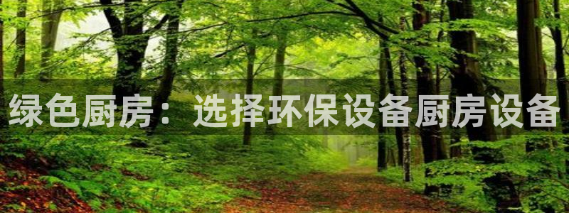 凯时国际app首页登录：绿色厨房：选择环保设备厨房设备