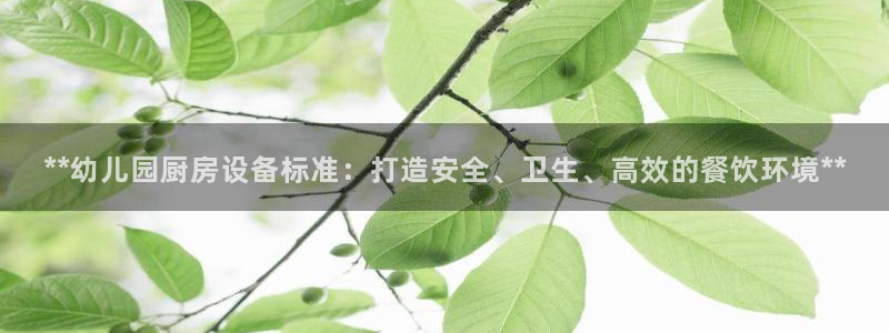 凯时k88最新：**幼儿园厨房设备标准：打造安全、卫生、高效
