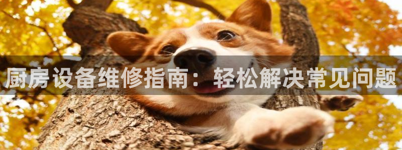 Z6尊龙凯时官方：厨房设备维修指南：轻松解决常见问题