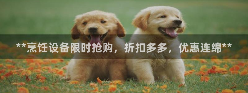 尊龙官网手机版