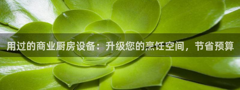 尊龙凯时人生就是博中国官网：用过的商业厨房设备：升级您的烹饪