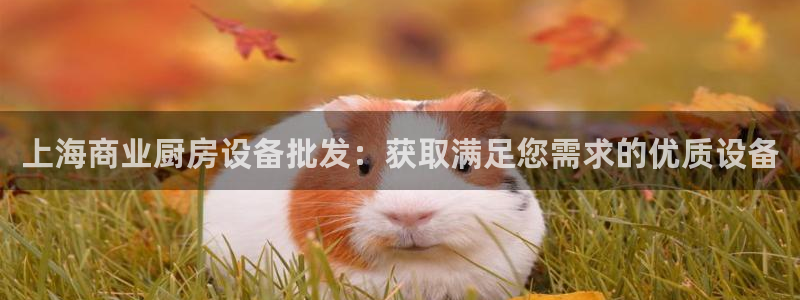 尊龙凯时充十万返现多少：上海商业厨房设备批发：获取满足您需求