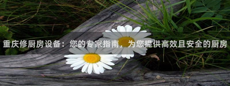 尊龙网址苹果版下载：重庆修厨房设备：您的专家指南，为您提供高