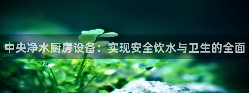 尊龙凯时一人生就是博登入