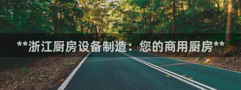 尊龙凯时俱乐部：**浙江厨房设备制造：您的商用厨房**