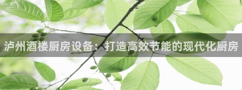 尊龙凯时官网入口：泸州酒楼厨房设备：打造高效节能的现代化厨房
