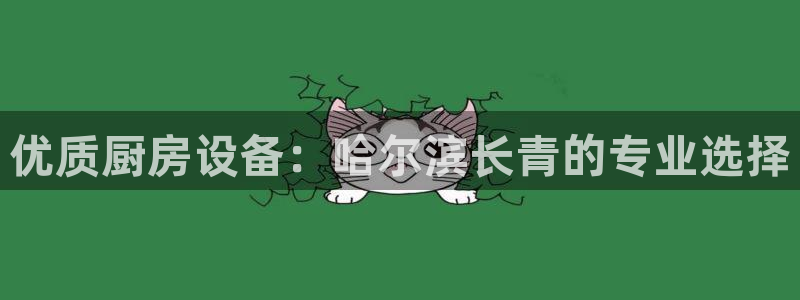 尊龙凯时家居是品牌吗：优质厨房设备：哈尔滨长青的专业选择