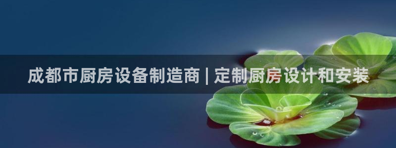 z6尊龙官方网站：成都市厨房设备制造商 | 定制厨房设计和安