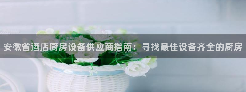 尊龙人生就是博D88：安徽省酒店厨房设备供应商指南：寻找最佳