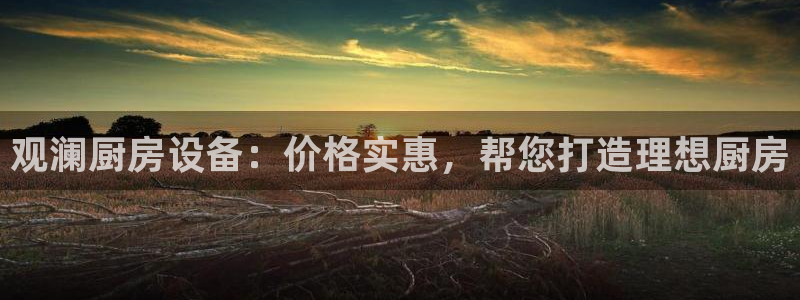 凯时游戏官方网站：观澜厨房设备：价格实惠，帮您打造理想厨房