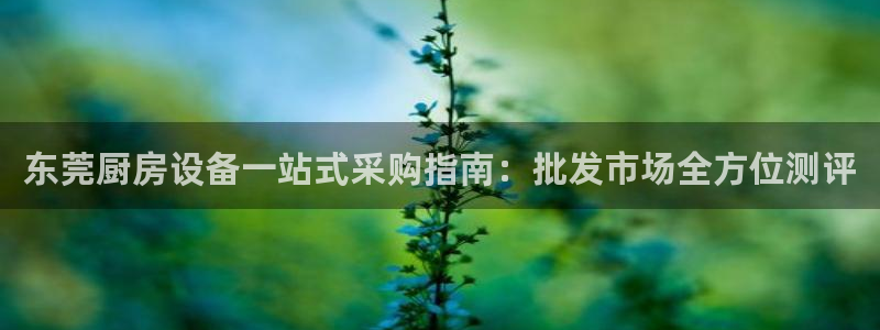 尊龙凯时城娱乐：东莞厨房设备一站式采购指南：批发市场全方位测