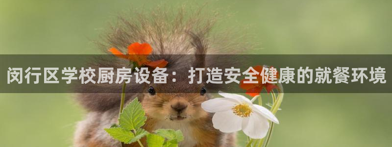尊龙专访视频：闵行区学校厨房设备：打造安全健康的就餐环境