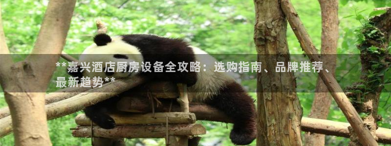 百度一下尊龙：**嘉兴酒店厨房设备全攻略：选购指南、品牌推荐