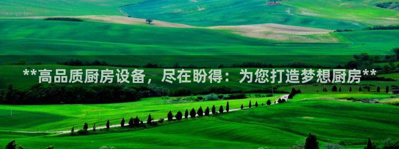 尊龙中国：**高品质厨房设备，尽在盼得：为您打造梦想厨房**