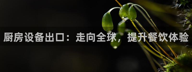 凯时APP官网首页：厨房设备出口：走向全球，提升餐饮体验