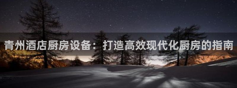 尊龙专访：青州酒店厨房设备：打造高效现代化厨房的指南