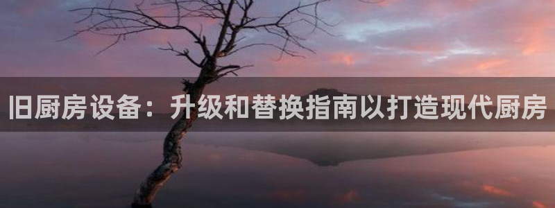 尊龙凯时注册地址：旧厨房设备：升级和替换指南以打造现代厨房