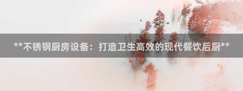 尊龙凯时 人生就是搏 平台：**不锈钢厨