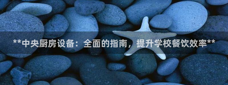 凯时官网：**中央厨房设备：全面的指南，提升学校餐饮效率**