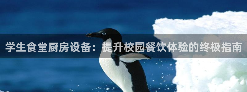 凯时登录首页,凯时K66：学生食堂厨房设备：提升校园餐饮体验