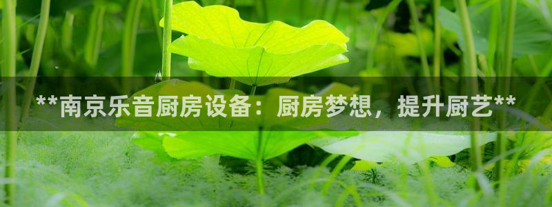 尊龙coming to my own：**南京乐音厨房设备：