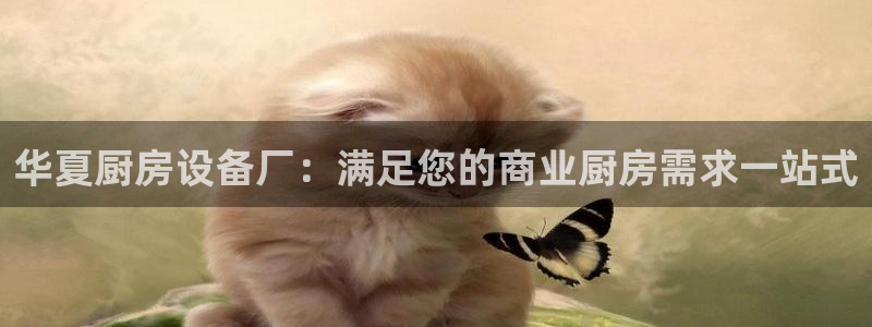 尊龙d88官网赢来就送38：华夏厨房设备厂：满足您的商业厨房