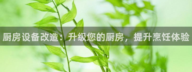 凯时国际app登录：厨房设备改造：升级您