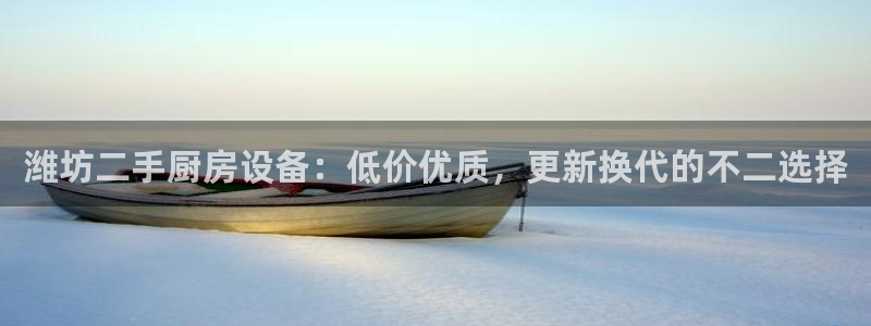 d88尊龙手机登录下载：潍坊二手厨房设备：低价优质，更新换代