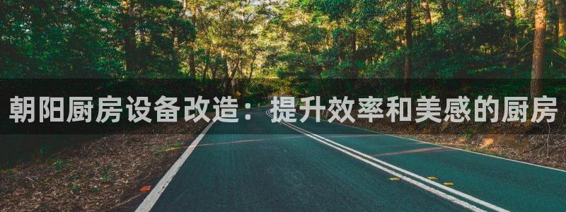 尊龙百度百科