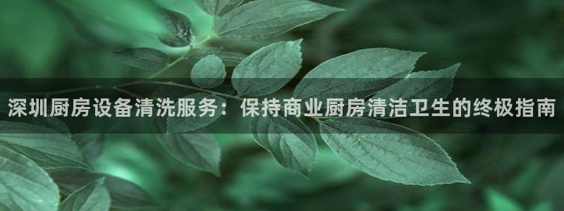 凯时国际网站域名