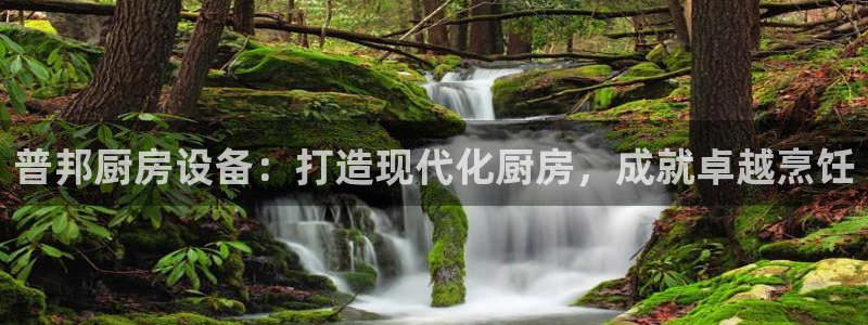 凯时是AG优质运营商：普邦厨房设备：打造现代化厨房，成就卓越