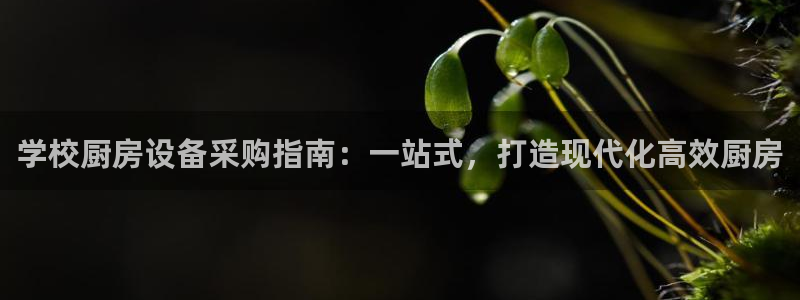 尊龙ag旗舰厅下载：学校厨房设备采购指南