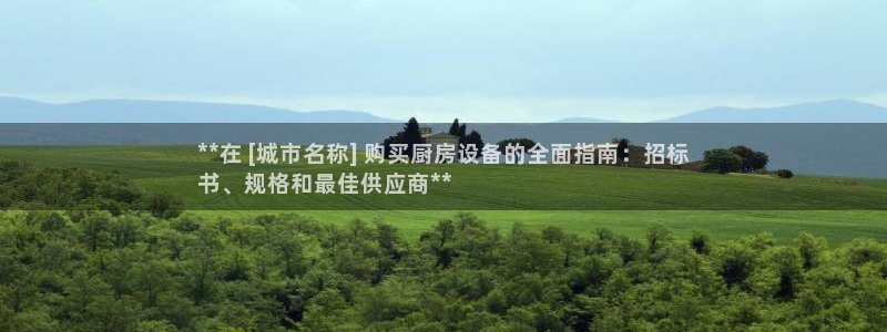 尊龙ag旗舰厅登陆：**在 [城市名称] 购买厨房设备的全面