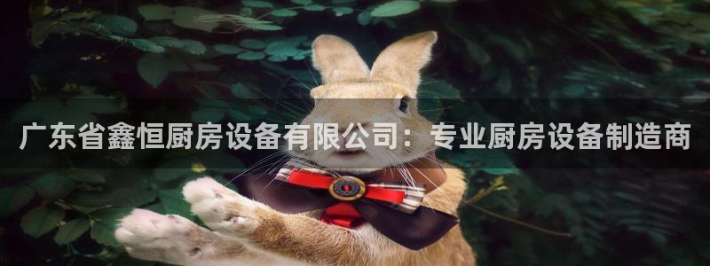 尊龙一生也走不出自己的童年：广东省鑫恒厨房设备有限公司：专业