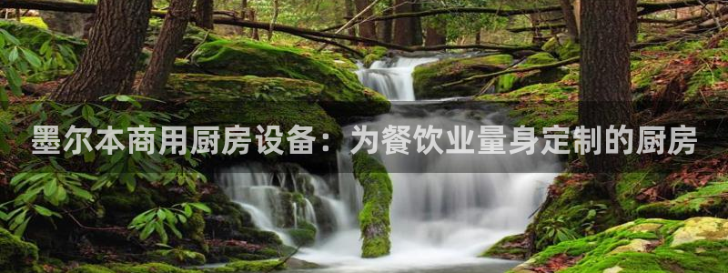 AG尊龙凯时注册：墨尔本商用厨房设备：为餐饮业量身定制的厨房