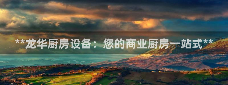 尊龙凯时防屏蔽网址：**龙华厨房设备：您的商业厨房一站式**