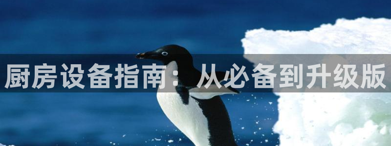 尊龙凯时是赌博嘛：厨房设备指南：从必备到