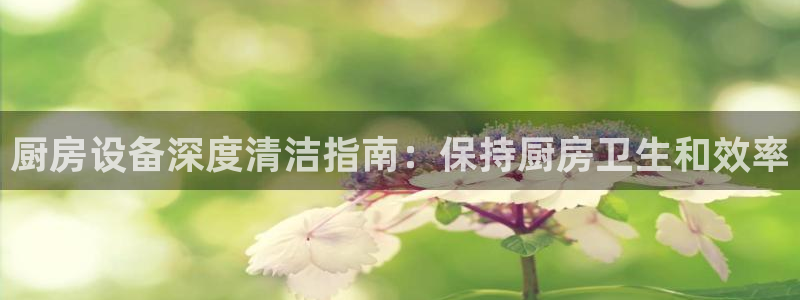 尊龙人生手机版：厨房设备深度清洁指南：保持厨房卫生和效率