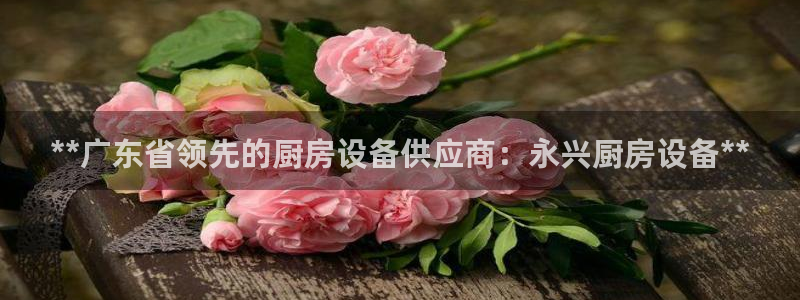 凯时AG网：**广东省领