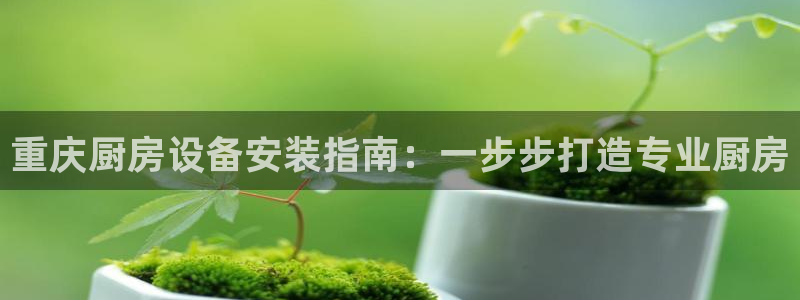 尊龙凯时平台不给出款怎么办：重庆厨房设备安装指南：一步步打造