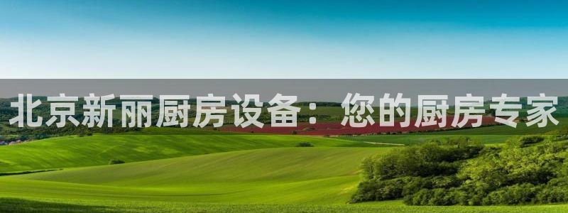 尊龙人生就是博网站下载：北京新丽厨房设备：您的厨房专家