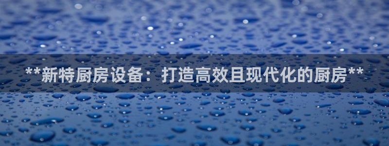 尊龙ag旗舰厅下载：**新特厨房设备：打造高效且现代化的厨房