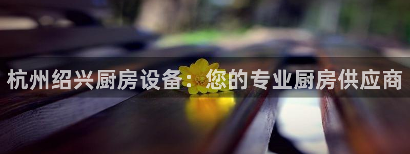d88尊龙手机客户端下载：杭州绍兴厨房设备：您的专业厨房供应