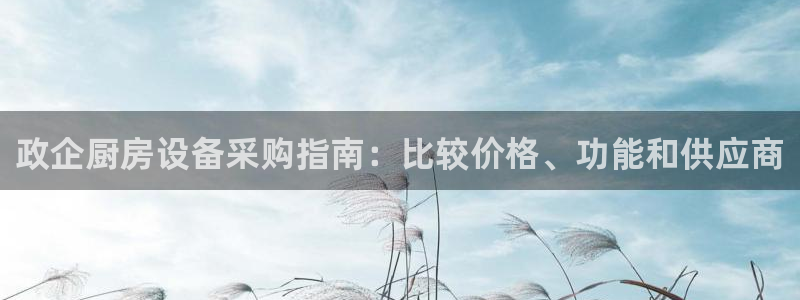 尊龙集团有限公司官网地址：政企厨房设备采