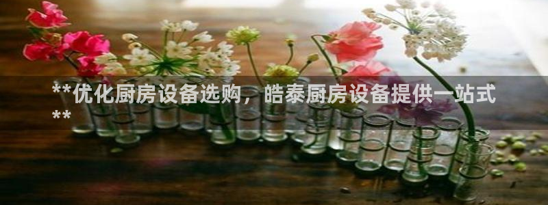 下载尊龙app：**优化厨房设备选购，皓泰厨房设备提供一站式