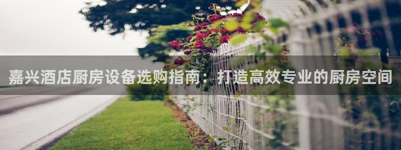 尊龙凯时邀请码：嘉兴酒店